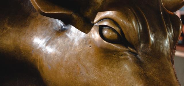 Close-up of the bronze Charging Bull statue, focusing on its eye, ear, and part of its face, with polished metal reflecting the surrounding light.